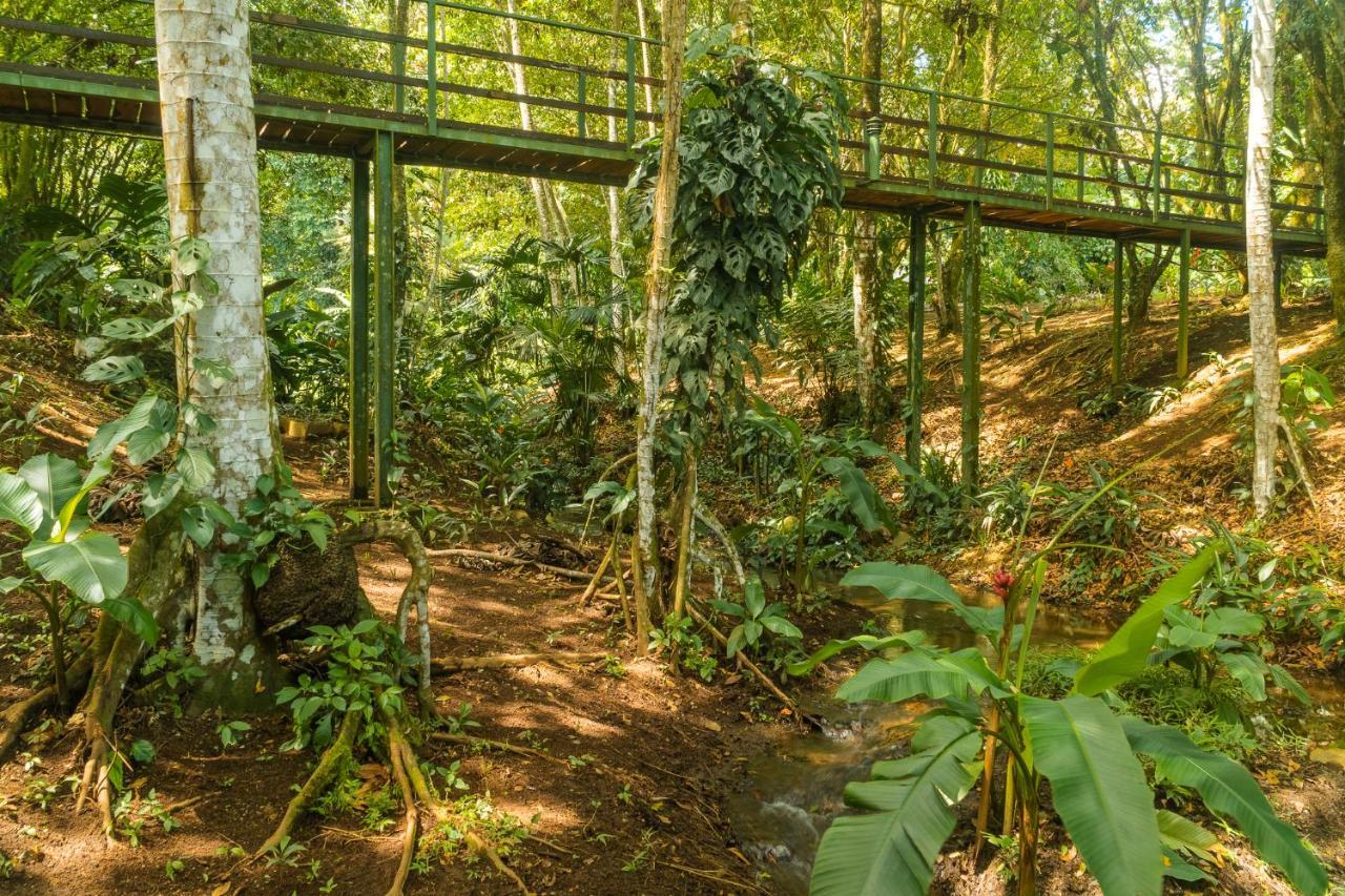 La Fortuna Natural Green Eksteriør billede